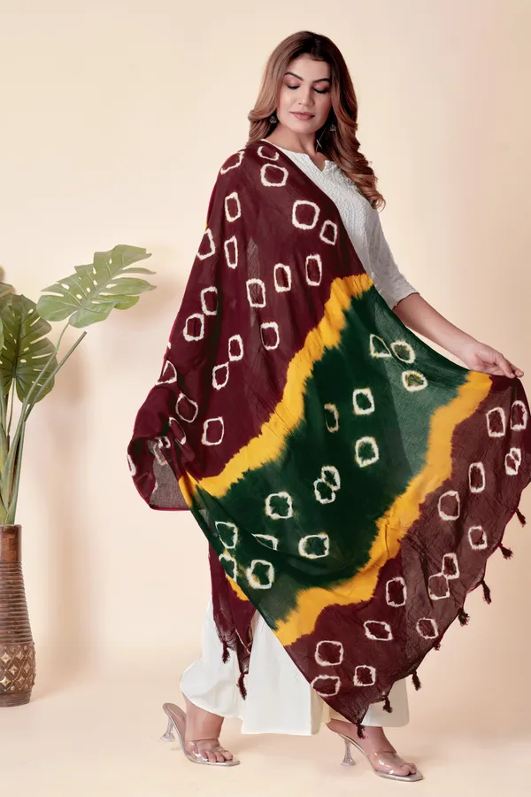 Maroon_&_Yellow_&_Green_Everyday_Comfort_Cotton_Dupatta_For_Women