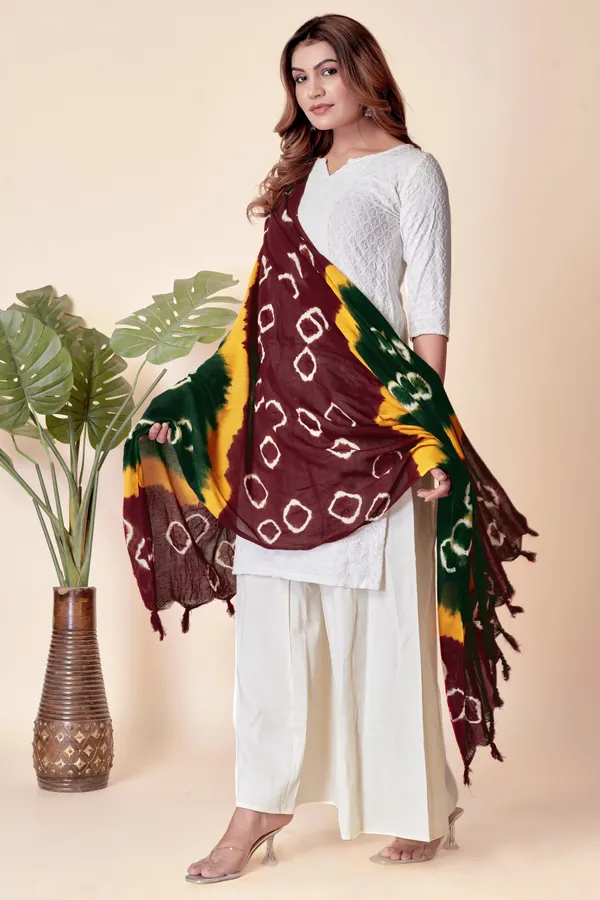 Maroon_&_Yellow_&_Green_Everyday_Comfort_Cotton_Dupatta_For_Women