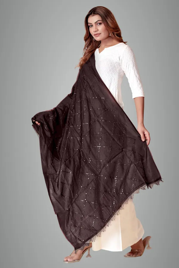 Cola_Chanderi_Box_Sequin_Festive_Dupatta_For_Women