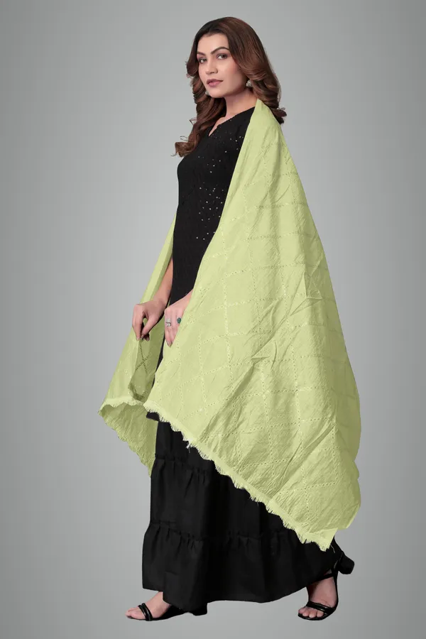 Pista_Chanderi_Box_Sequin_Festive_Dupatta_For_Women