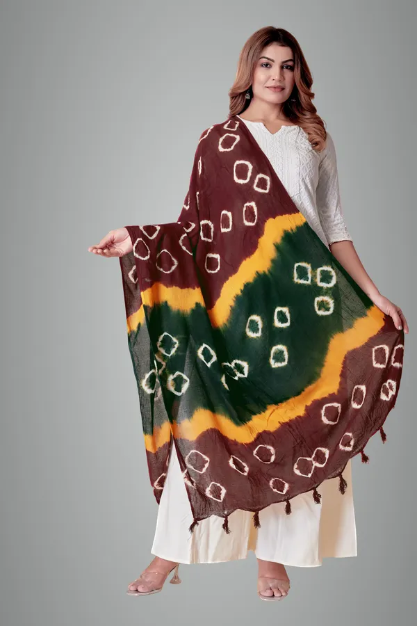 Maroon_&_Yellow_&_Green_Everyday_Comfort_Cotton_Dupatta_For_Women