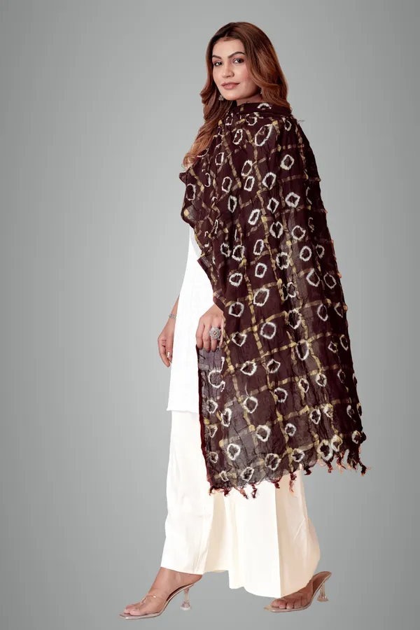 Cola_Cotton_Checkered_Everyday_Dupatta_For_Women
