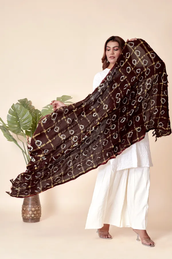 Cola_Cotton_Checkered_Everyday_Dupatta_For_Women