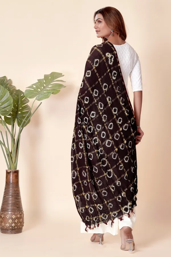 Cola_Cotton_Checkered_Everyday_Dupatta_For_Women