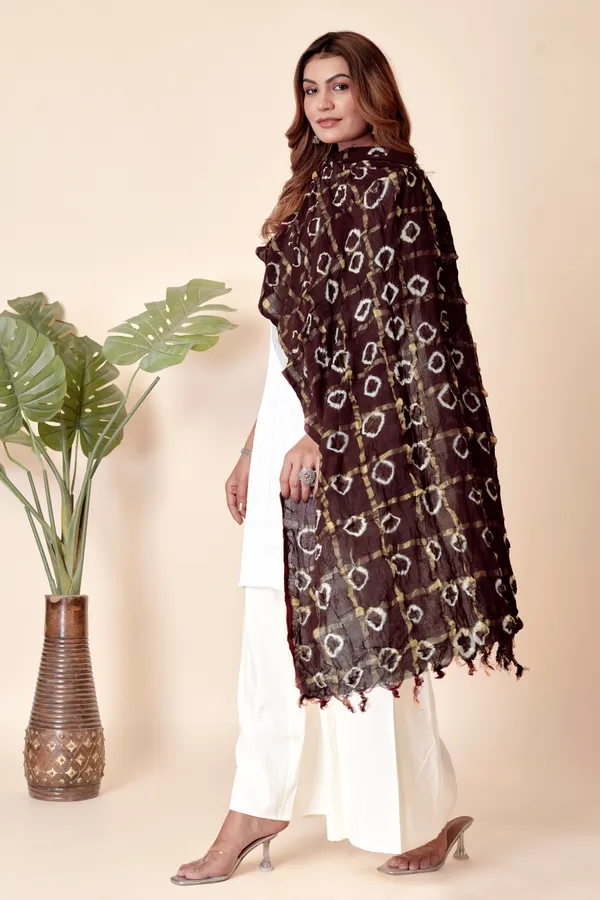 Cola_Cotton_Checkered_Everyday_Dupatta_For_Women