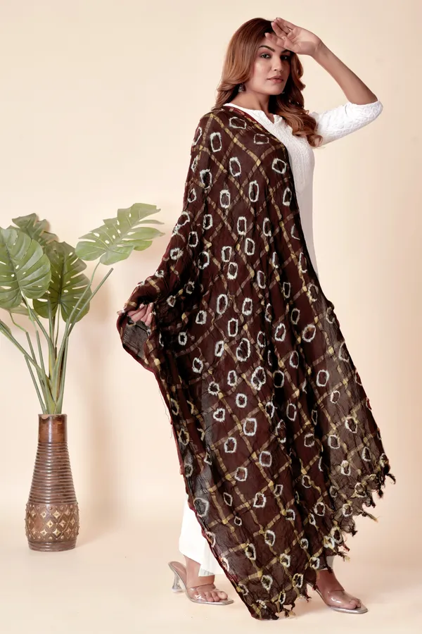 Cola_Cotton_Checkered_Everyday_Dupatta_For_Women