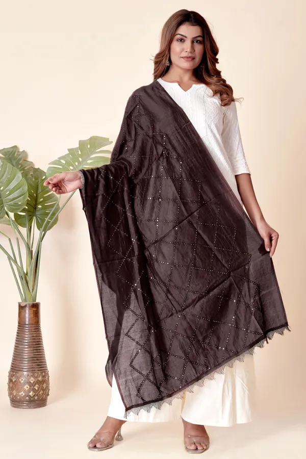 Cola_Chanderi_Box_Sequin_Festive_Dupatta_For_Women