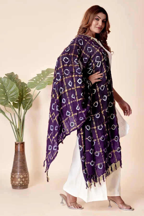 Jamuni_Cotton_Checkered_Everyday_Dupatta_For_Women