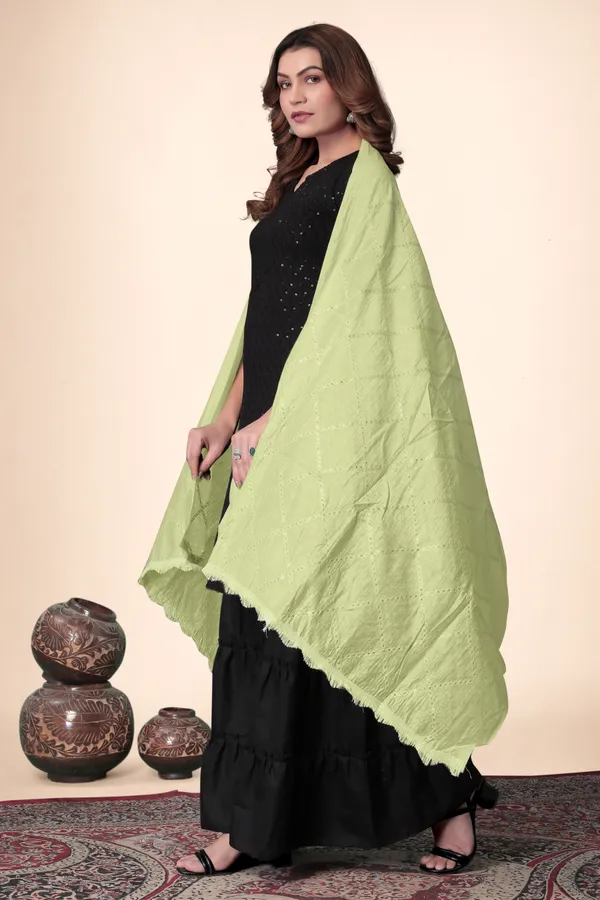 Pista_Chanderi_Box_Sequin_Festive_Dupatta_For_Women