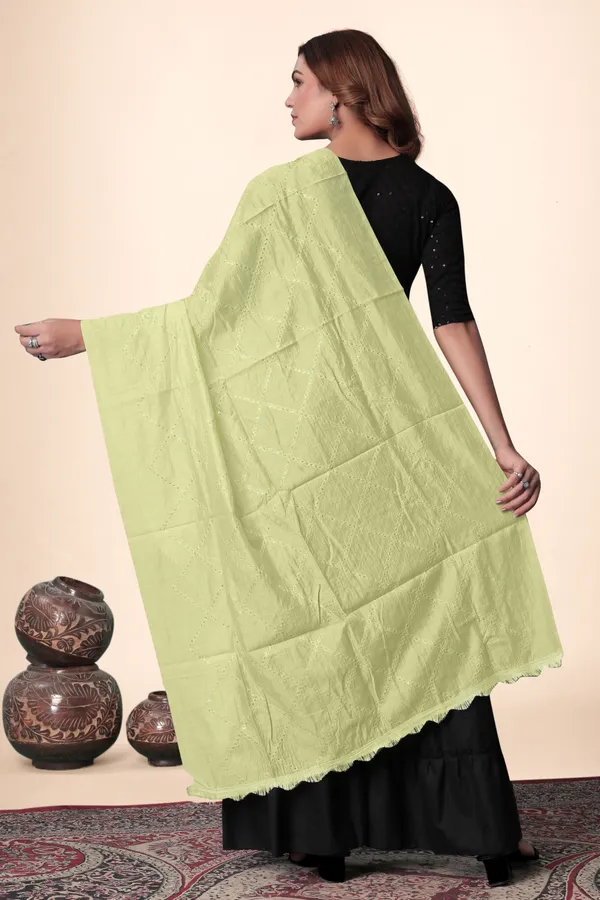 Pista_Chanderi_Box_Sequin_Festive_Dupatta_For_Women