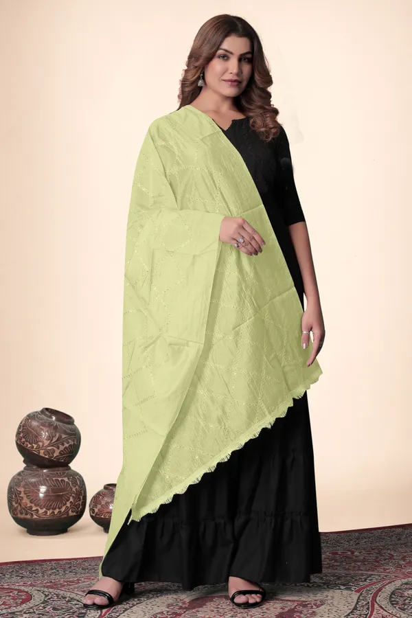 Pista_Chanderi_Box_Sequin_Festive_Dupatta_For_Women