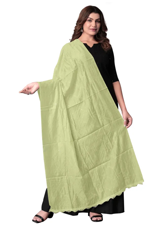 Pista_Chanderi_Box_Sequin_Festive_Dupatta_For_Women