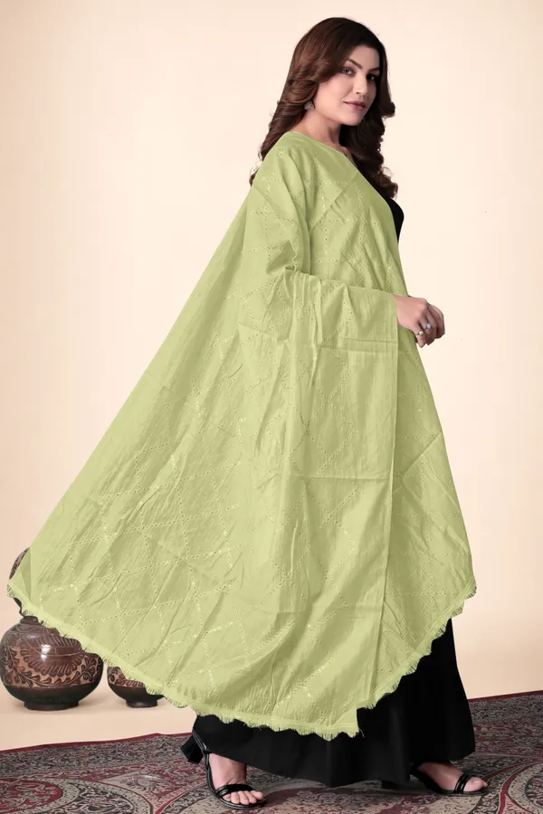 Pista_Chanderi_Box_Sequin_Festive_Dupatta_For_Women
