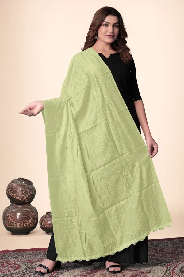 Pista_Chanderi_Box_Sequin_Festive_Dupatta_For_Women
