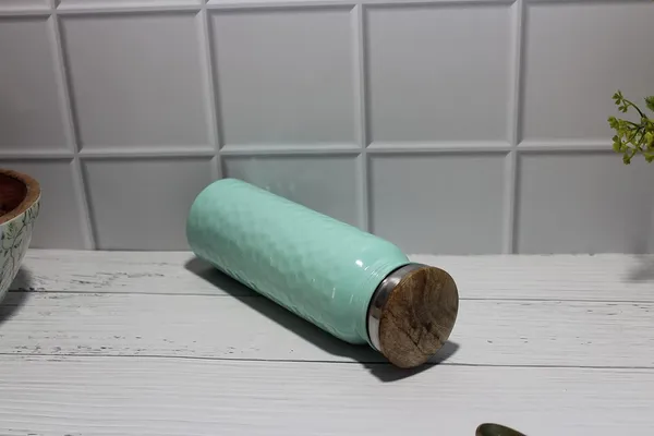 Green_Stainless_Steel_Water_Bottle,_800_Ml,_Silver_|_Leak_Proof_|_Office_Bottle_|_Gym_Bottle_|_Home_|_Kitchen_|_Hiking_|_Treking_Bottle_|_Travel_Bottle_(Pack_Of_1)_(Stainless_Steel)
