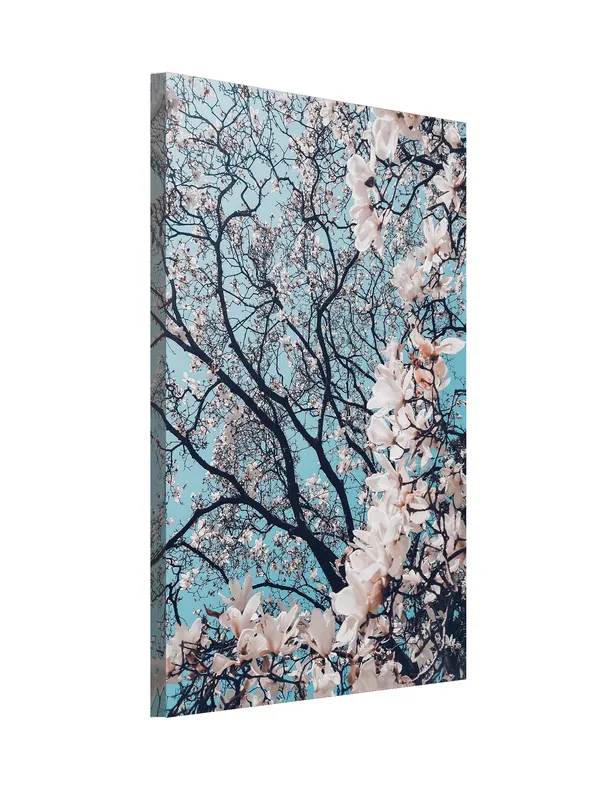 Premium_Canvas_Print_Of_Sakura_-_Cherry_Blossoms_Art_-_16InchX24Inch_Stretched_And_Framed_In_Teakwood_With_Back_Support