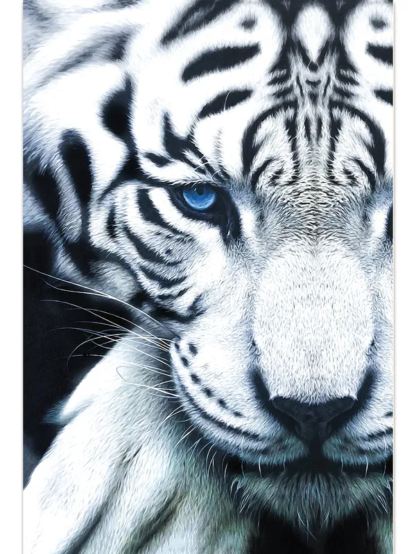 Premium_Canvas_Print_Of_White_Tiger_Face-A_Art_-_16InchX24Inch_Stretched_And_Framed_In_Teakwood_With_Back_Support