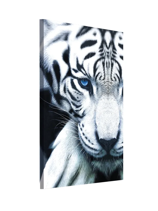 Premium_Canvas_Print_Of_White_Tiger_Face-A_Art_-_16InchX24Inch_Stretched_And_Framed_In_Teakwood_With_Back_Support