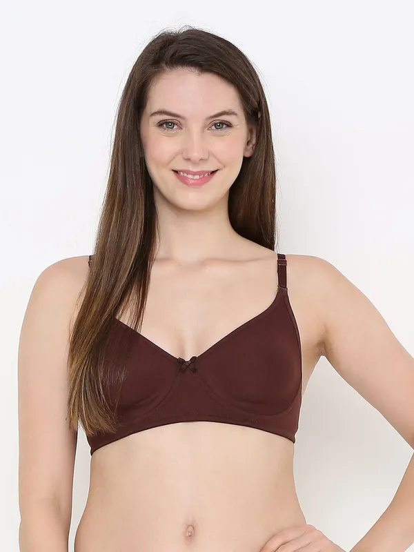 Brown_Non-Padded,_Non-Wired_T_Shirt_Bra_With_Seamless_Cup_For_Women