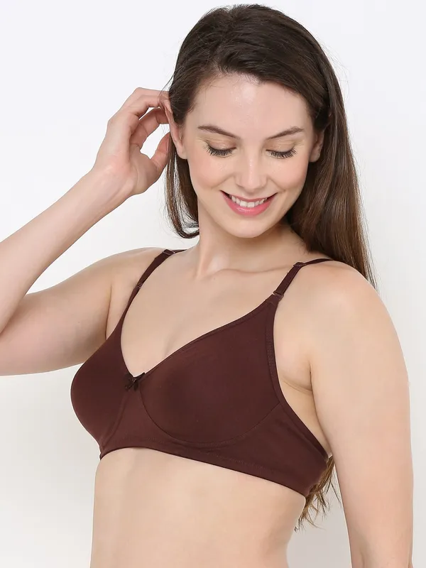 Brown_Non-Padded,_Non-Wired_T_Shirt_Bra_With_Seamless_Cup_For_Women