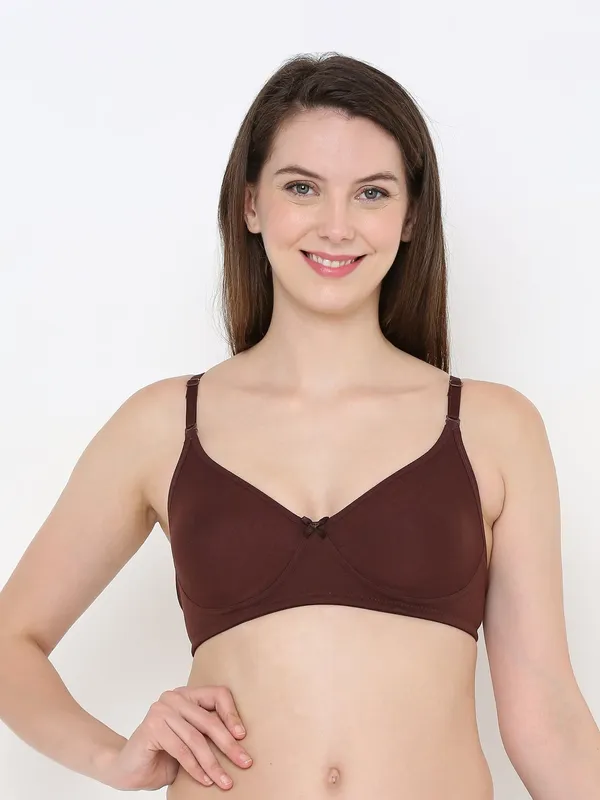 Brown_Non-Padded,_Non-Wired_T_Shirt_Bra_With_Seamless_Cup_For_Women