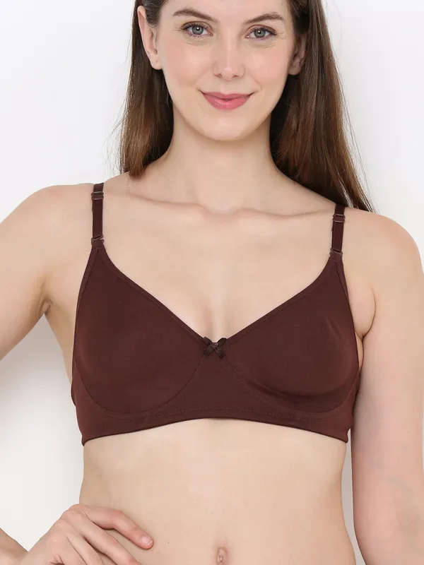 Brown_Non-Padded,_Non-Wired_T_Shirt_Bra_With_Seamless_Cup_For_Women