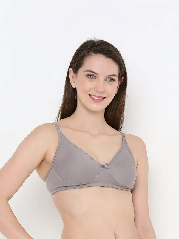 Grey_Non-Padded,_Non-Wired_T_Shirt_Bra_With_Seamless_Cup_For_Women