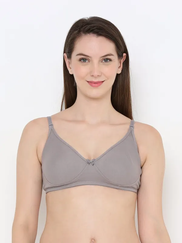 Grey_Non-Padded,_Non-Wired_T_Shirt_Bra_With_Seamless_Cup_For_Women