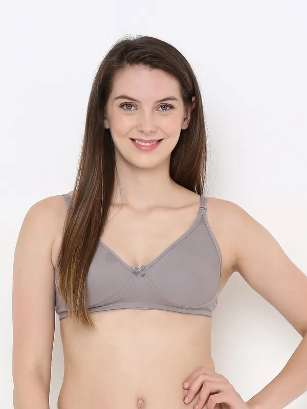 Grey_Non-Padded,_Non-Wired_T_Shirt_Bra_With_Seamless_Cup_For_Women