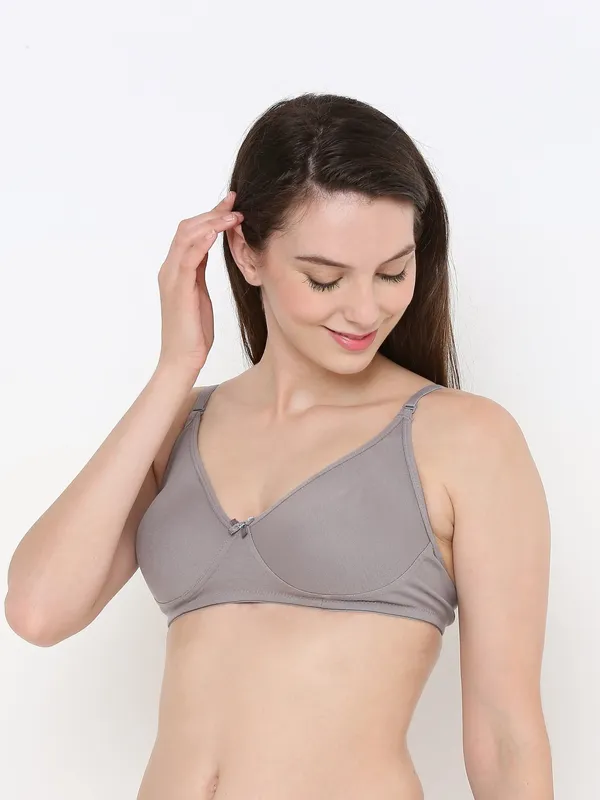 Grey_Non-Padded,_Non-Wired_T_Shirt_Bra_With_Seamless_Cup_For_Women