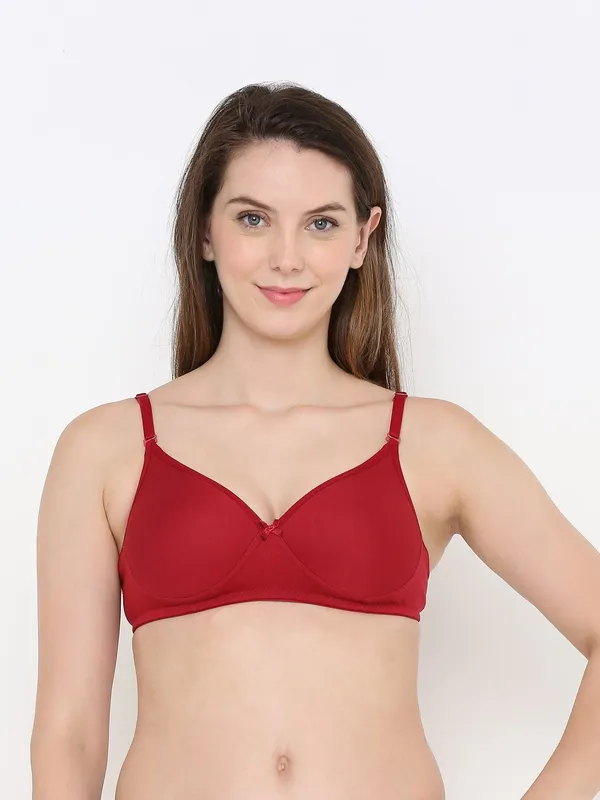 Maroon_Everyday_Comfort:_Lightly_Padded_Wire-Free_T-Shirt_Bra_For_Women