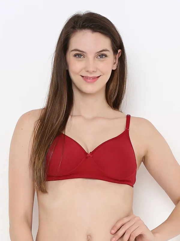 Maroon_Everyday_Comfort:_Lightly_Padded_Wire-Free_T-Shirt_Bra_For_Women