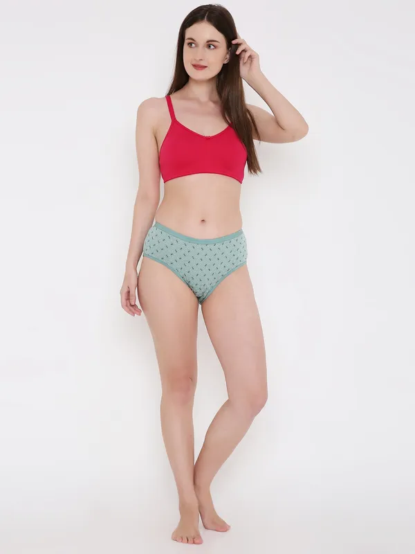 Sage_Green_Assorted_Mid_Waist_Printed_Bikini_Panty_For_Women