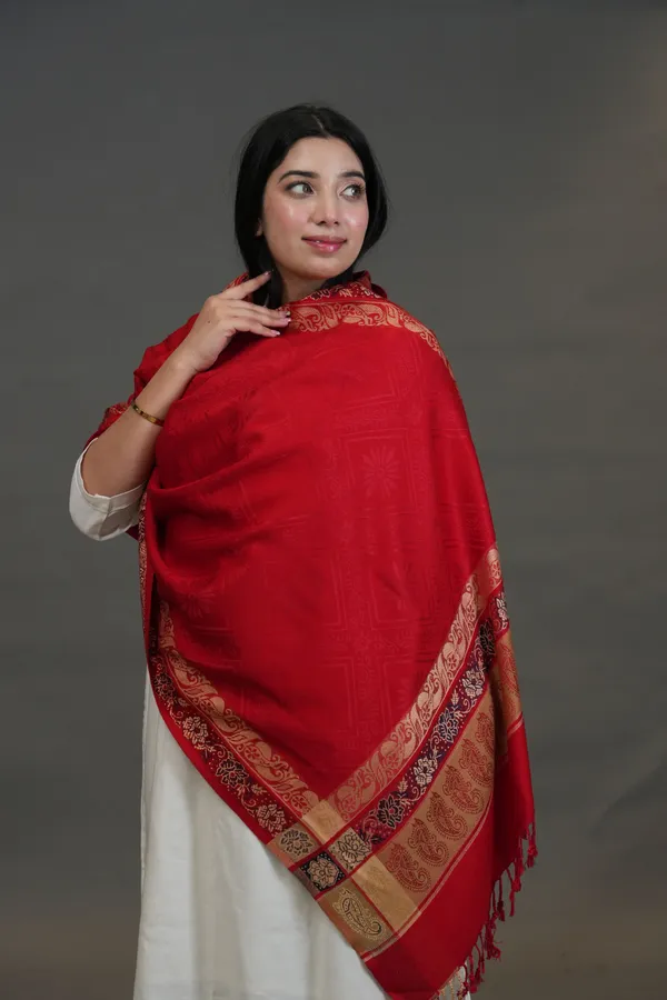 Shifneen_Acrylic_Solid_Women_Shawl_Multicolor