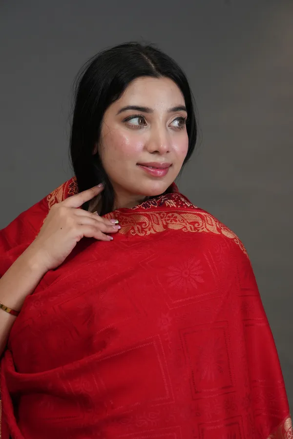 Shifneen_Acrylic_Solid_Women_Shawl_Multicolor