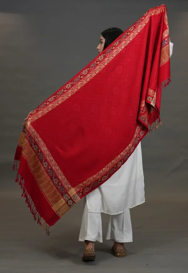 Shifneen_Acrylic_Solid_Women_Shawl_Multicolor