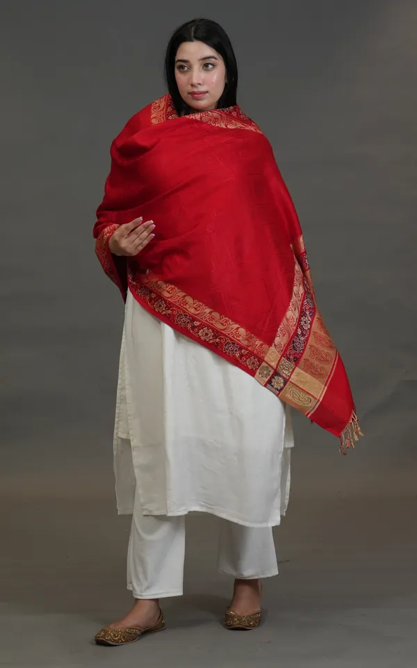 Shifneen_Acrylic_Solid_Women_Shawl_Multicolor