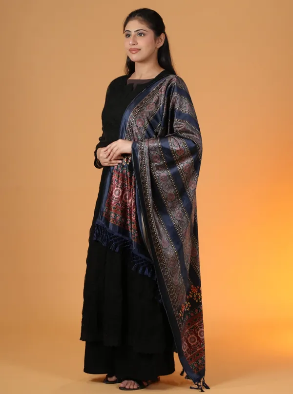 Shifneen_Velvet_Printed_Women_Shawl_Blue