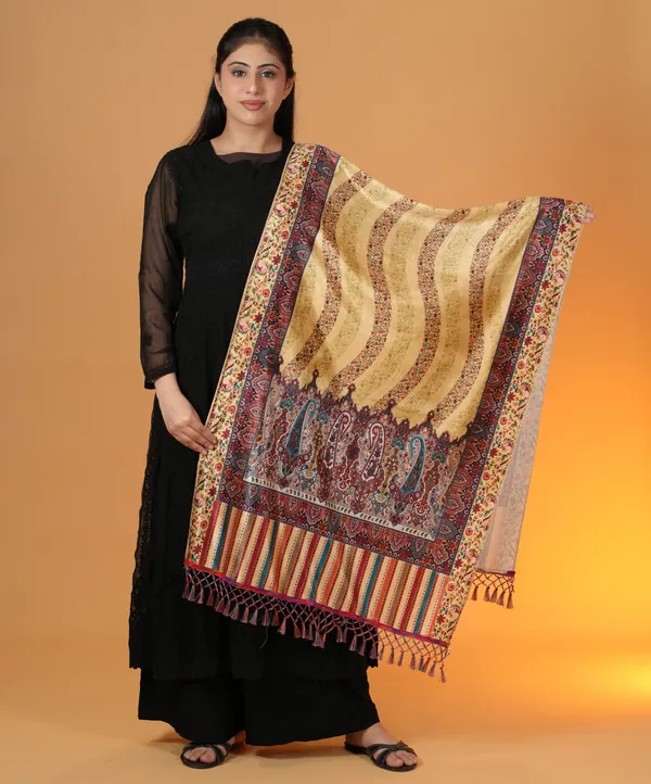Shifneen_Velvet_Printed_Women_Shawl_Multicolor
