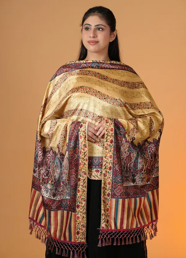 Shifneen_Velvet_Printed_Women_Shawl_Multicolor