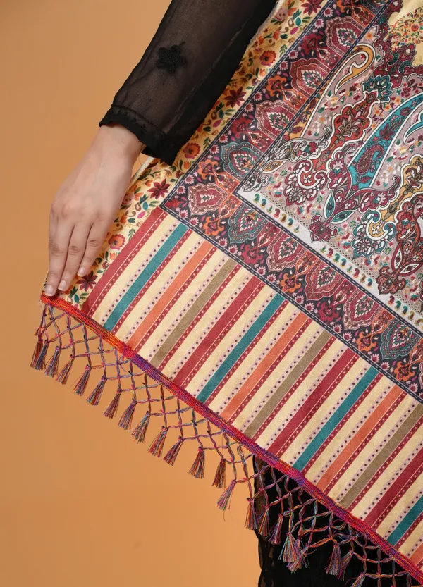 Shifneen_Velvet_Printed_Women_Shawl_Multicolor