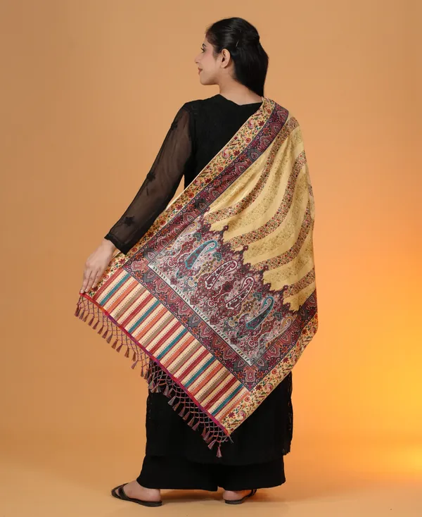 Shifneen_Velvet_Printed_Women_Shawl_Multicolor