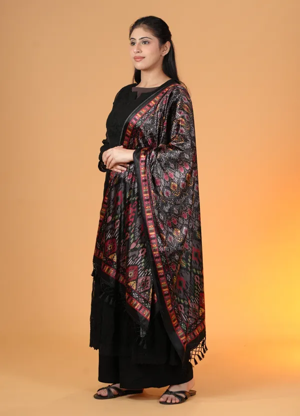 Shifneen_Velvet_Printed_Women_Shawl_Multicolor