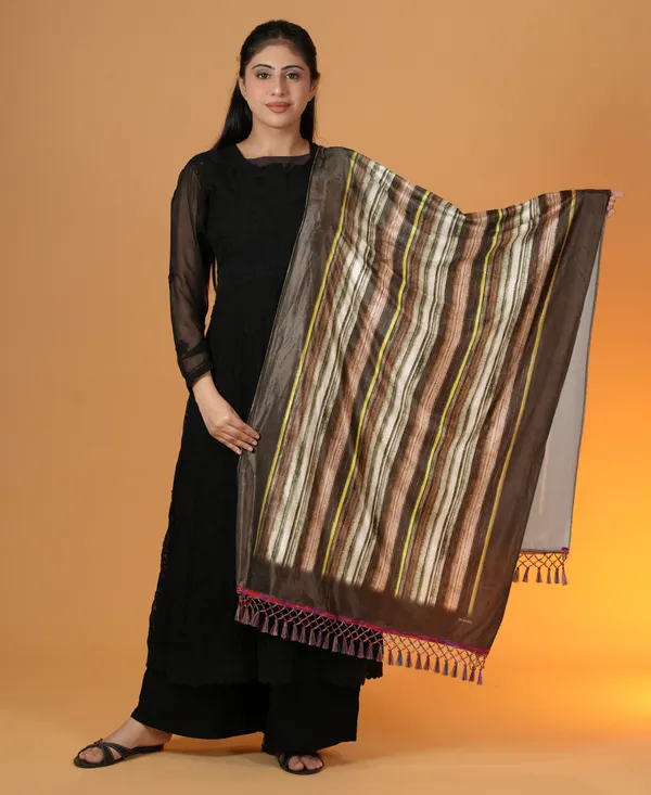 Shifneen_Velvet_Printed_Women_Shawl_Brown