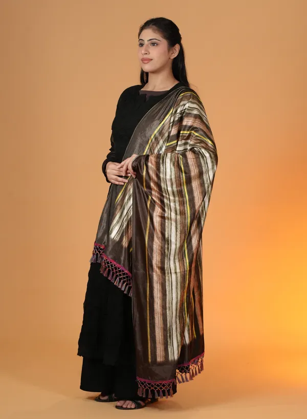 Shifneen_Velvet_Printed_Women_Shawl_Brown