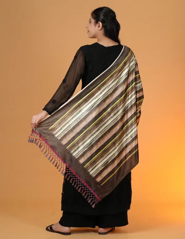 Shifneen_Velvet_Printed_Women_Shawl_Brown