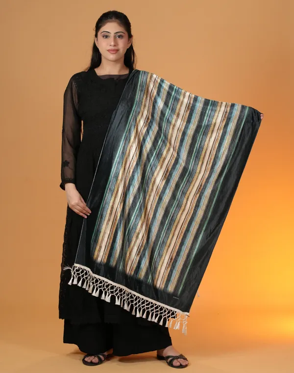 Shifneen_Velvet_Printed_Women_Shawl_Blue