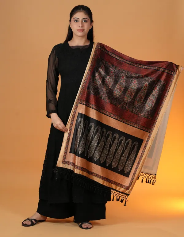 Shifneen_Velvet_Printed_Women_Shawl_Multicolor