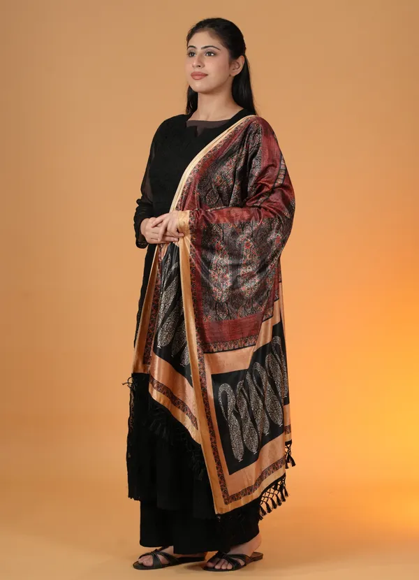 Shifneen_Velvet_Printed_Women_Shawl_Multicolor