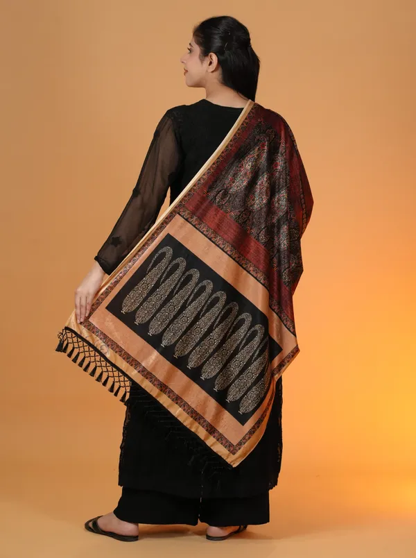 Shifneen_Velvet_Printed_Women_Shawl_Multicolor